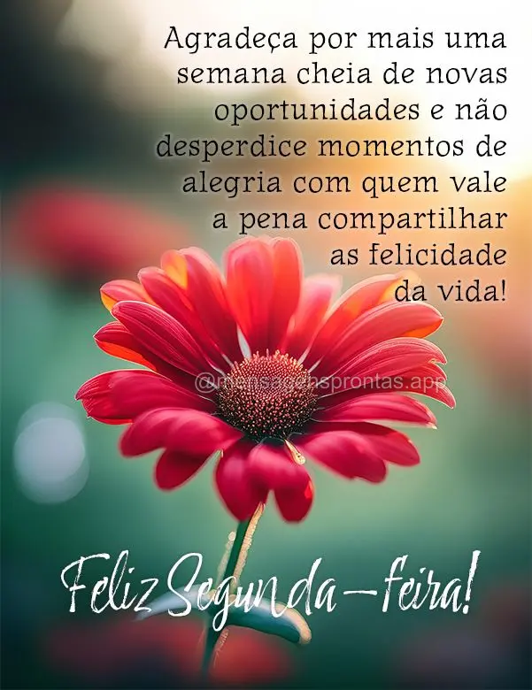 Agradeça por mais uma semana cheia de novas oportunidades e não desperdice momentos de alegria com quem vale a pena compartilhar as felicidade da vida!...