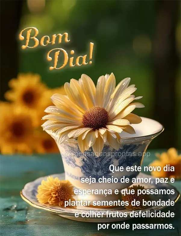 Que este novo dia seja cheio de amor, paz e esperança e que possamos plantar sementes de bondade e colher frutos de felicidade por onde passarmos. Bom d...