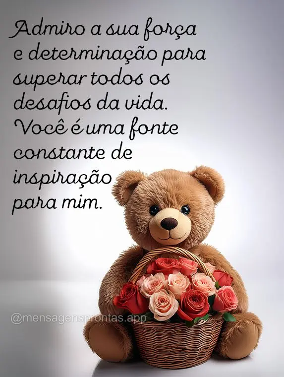 Admiro a sua força e determinação para superar todos os desafios da vida. Você é uma fonte constante de inspiração para mim.