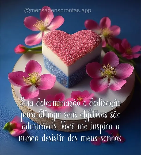 Sua determinação e dedicação para atingir seus objetivos são admiráveis. Você me inspira a nunca desistir dos meus sonhos.