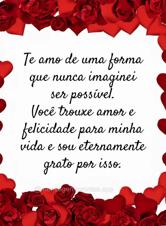 Te amo de uma forma que nunca imaginei ser possível. Você trouxe amor e felicidade para minha vida e sou eternamente grato por isso.