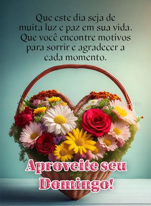 Que este dia seja de muita luz e paz em sua vida. Que você encontre motivos para sorrir e agradecer a cada momento. Aproveite seu Domingo!