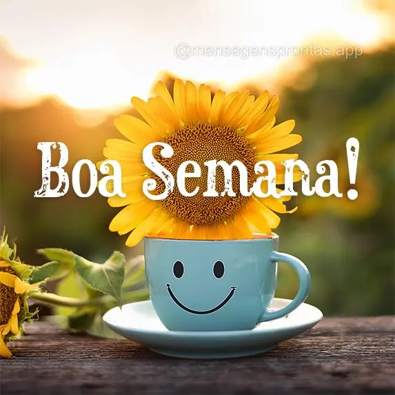 Boa Semana!