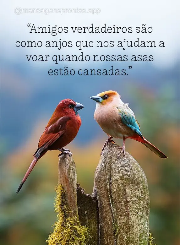 "Amigos verdadeiros são como anjos que nos ajudam a voar quando nossas asas estão cansadas."