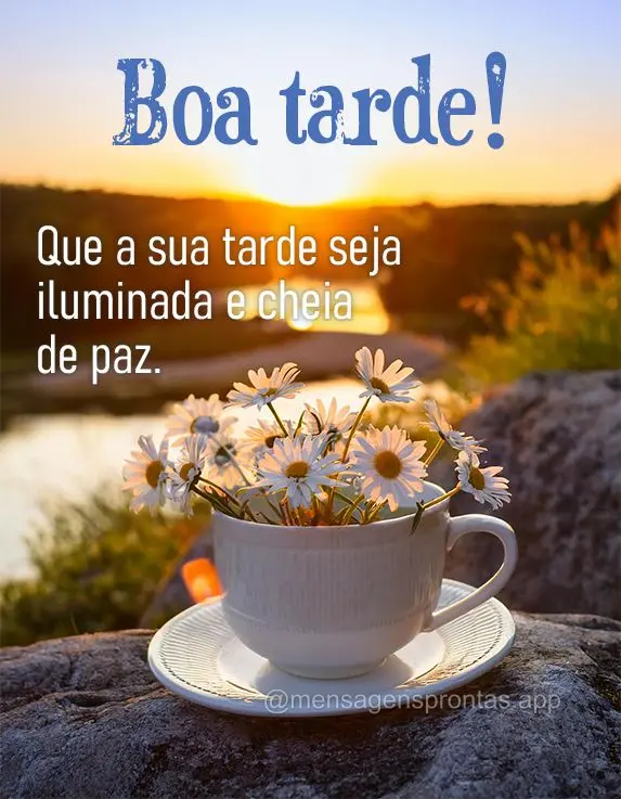 Que a sua tarde seja iluminada e cheia de paz. Boa tarde!