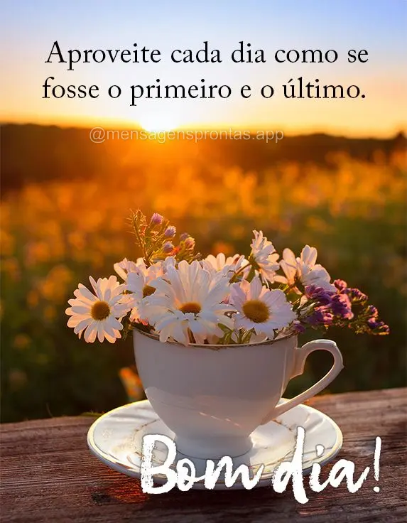 Aproveite cada dia como se fosse o primeiro e o último. Bom dia!