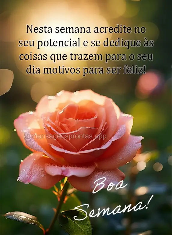 Nesta semana acredite no seu potencial e se dedique às coisas que trazem para o seu dia motivos para ser feliz! Boa Semana!