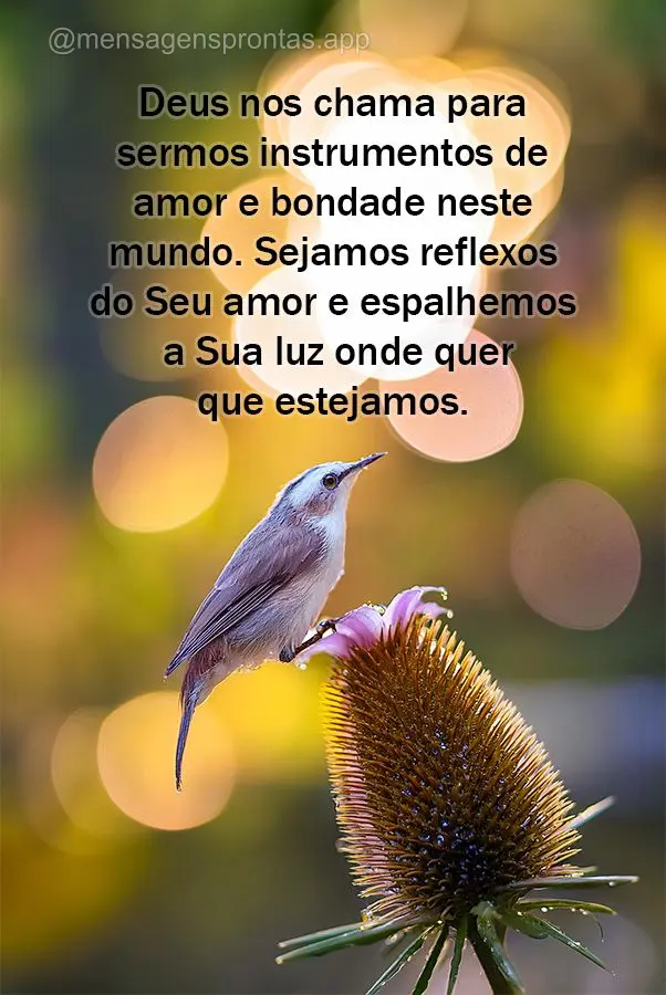 Deus nos chama para sermos instrumentos de amor e bondade neste mundo. Sejamos reflexos do Seu amor e espalhemos a Sua luz onde quer que estejamos.