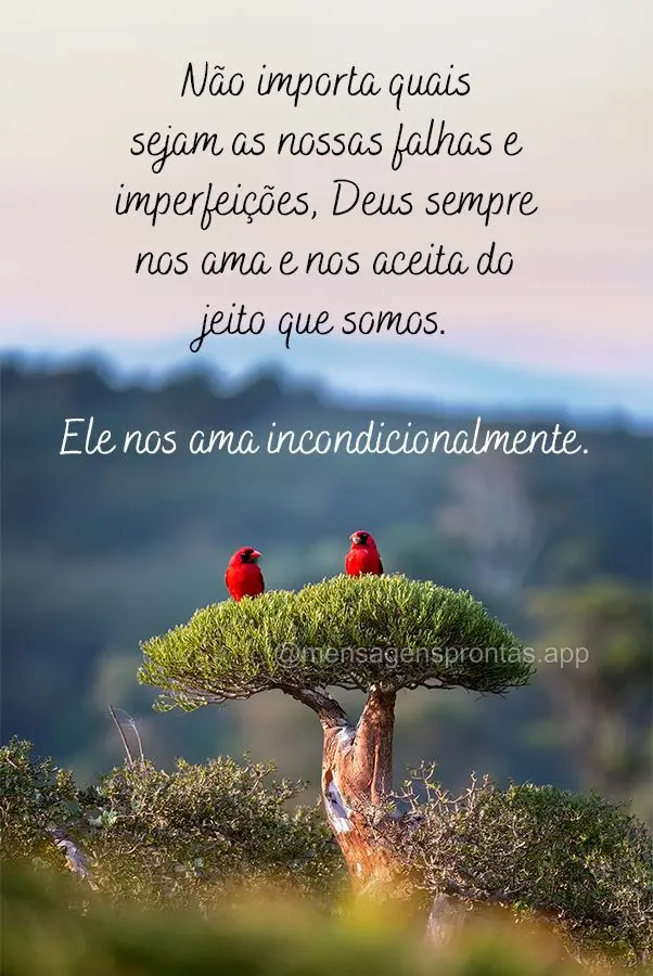 Não importa quais sejam as nossas falhas e imperfeições, Deus sempre nos ama e nos aceita do jeito que somos. Ele nos ama incondicionalmente.