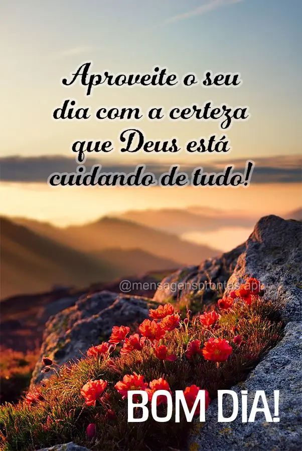 Aproveite o seu dia com a certeza que Deus está cuidando de tudo! Bom dia!