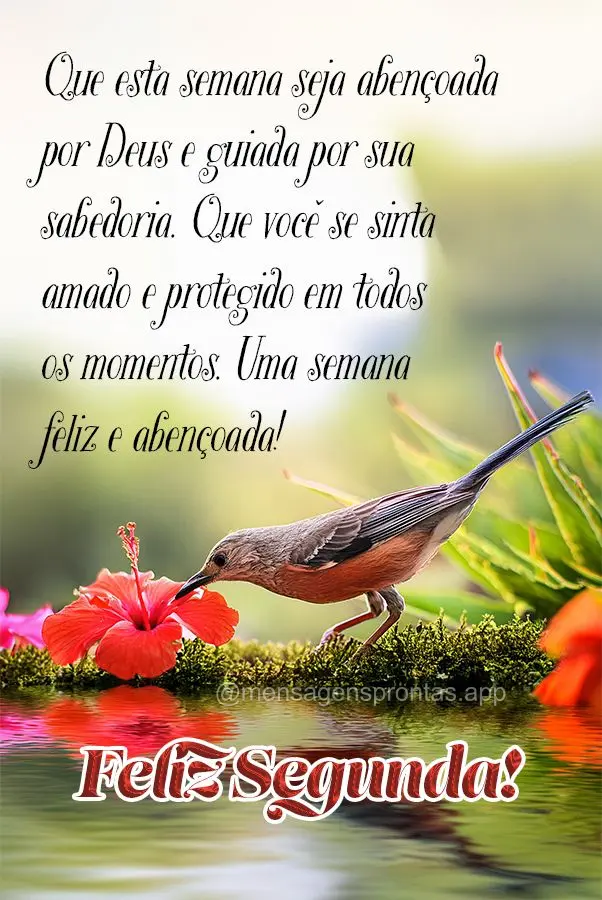 Que esta semana seja abençoada por Deus e guiada por sua sabedoria. Que você se sinta amado e protegido em todos os momentos. Uma semana feliz e abenç...