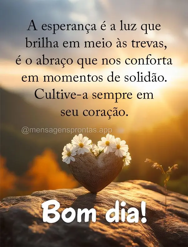 A esperança é a luz que brilha em meio às trevas, é o abraço que nos conforta em momentos de solidão. Cultive-a sempre em seu coração. Bom dia!...