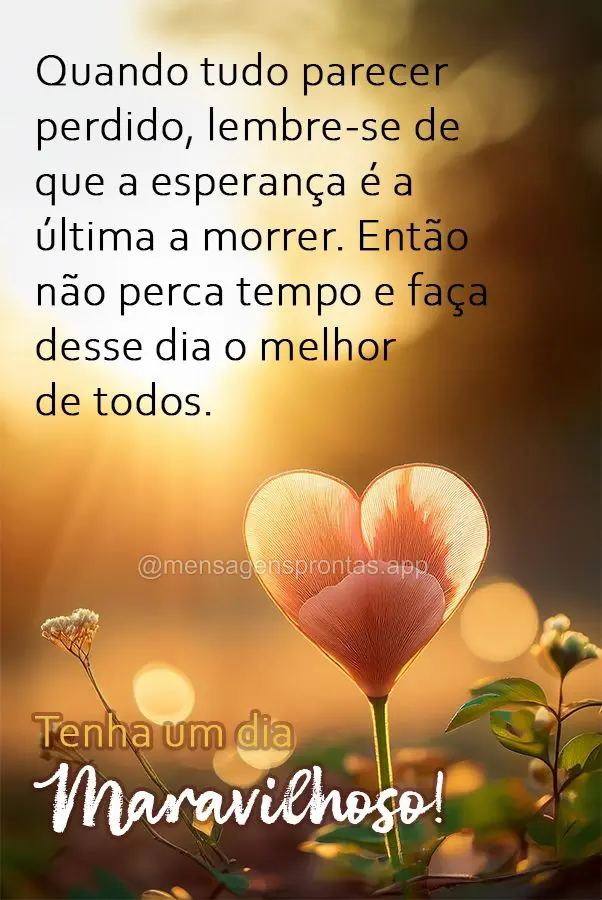 Quando tudo parecer perdido, lembre-se de que a esperança é a última a morrer. Então não perca tempo e faça desse dia o melhor de todos. Tenha um d...