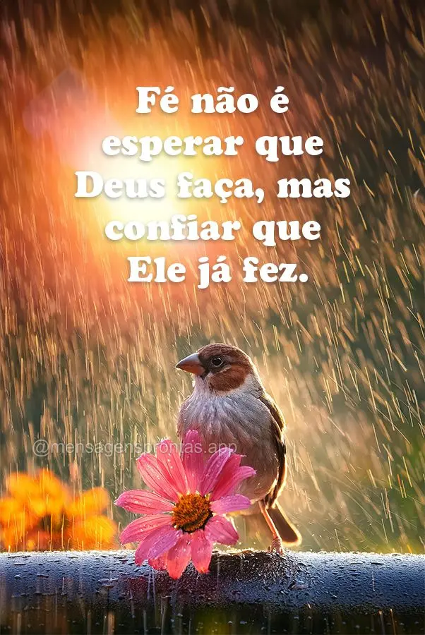 Fé não é esperar que Deus faça, mas confiar que Ele já fez.