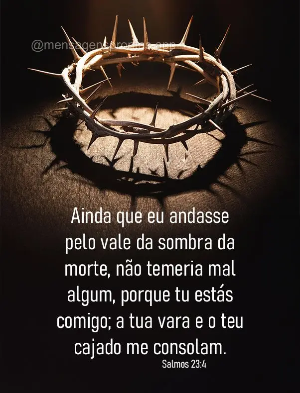 Ainda que eu andasse pelo vale da sombra da morte, não temeria mal algum, porque tu estás comigo; a tua vara e o teu cajado me consolam. Salmos 23:4