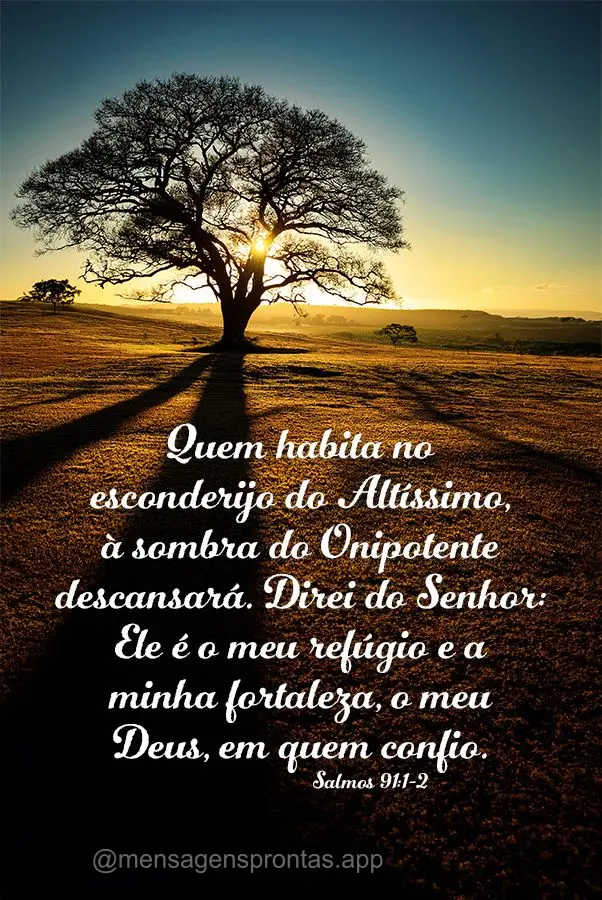 Quem habita no esconderijo do Altíssimo, à sombra do Onipotente descansará. Direi do Senhor: Ele é o meu refúgio e a minha fortaleza, o meu Deus, em...