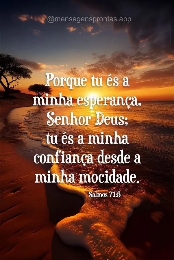 Porque tu és a minha esperança, Senhor Deus; tu és a minha confiança desde a minha mocidade. Salmos 71:5