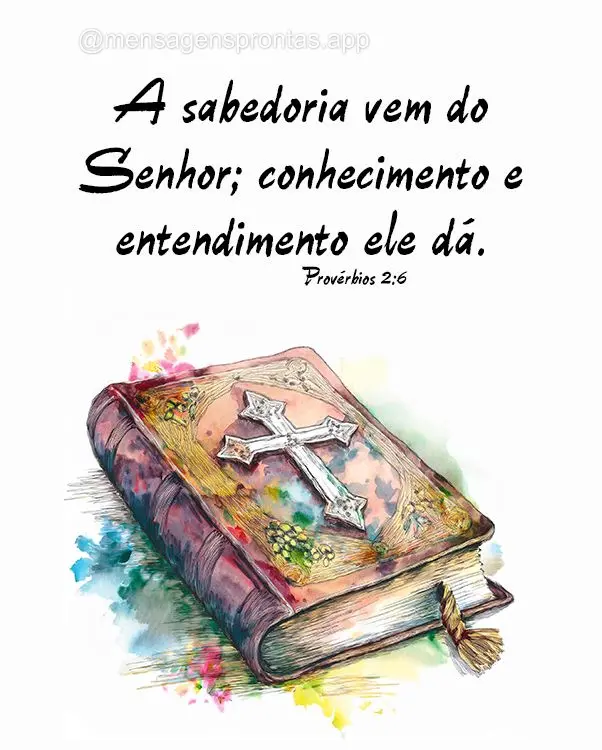 A sabedoria vem do Senhor; conhecimento e entendimento ele dá. Provérbios 2:6