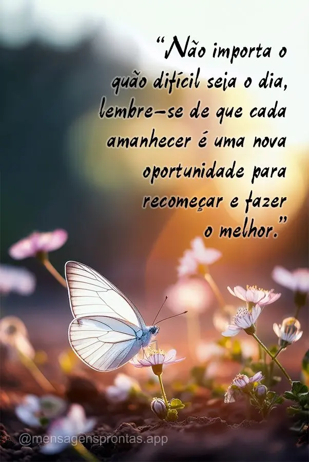 "Não importa o quão difícil seja o dia, lembre-se de que cada amanhecer é uma nova oportunidade para recomeçar e fazer o melhor."