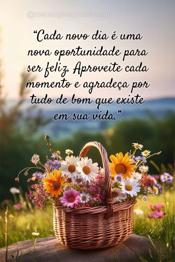 "Cada novo dia é uma nova oportunidade para ser feliz. Aproveite cada momento e agradeça por tudo de bom que existe em sua vida."