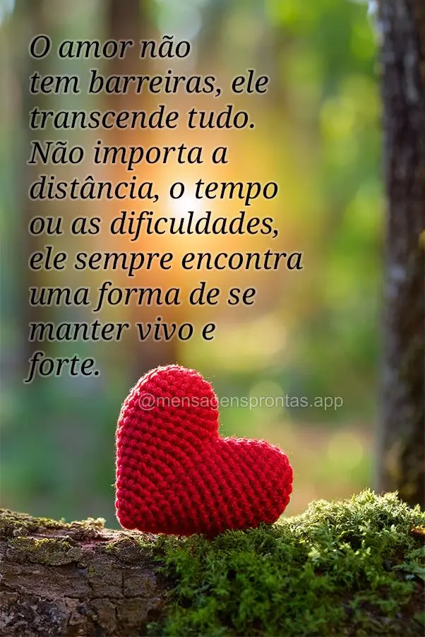 O amor não tem barreiras, ele transcende tudo. Não importa a distância, o tempo ou as dificuldades, ele sempre encontra uma forma de se manter vivo e ...