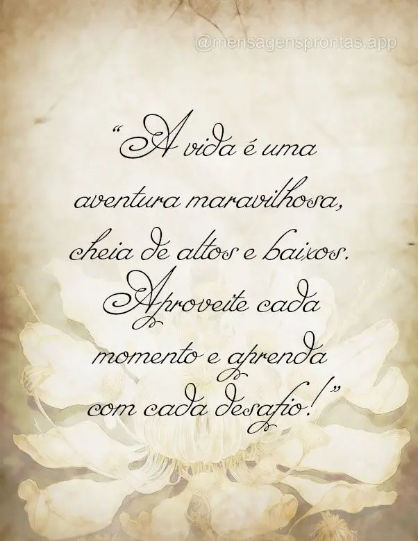 "A vida é uma aventura maravilhosa, cheia de altos e baixos. Aproveite cada momento e aprenda com cada desafio!"