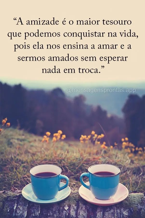 "A amizade é o maior tesouro que podemos conquistar na vida, pois ela nos ensina a amar e a sermos amados sem esperar nada em troca."