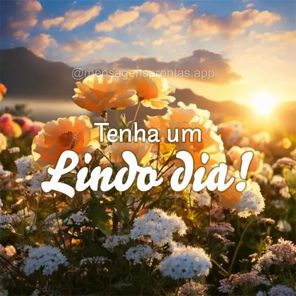 Tenha um Lindo dia!