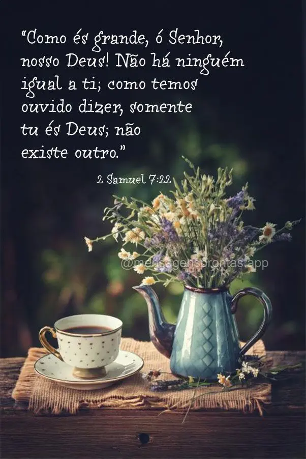 “Como és grande, ó Senhor, nosso Deus! Não há ninguém igual a ti; como temos ouvido dizer, somente tu és Deus; não existe outro.” 2 Samuel 7:2...