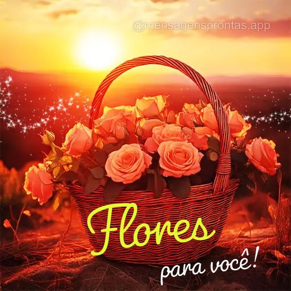 Flores para você!