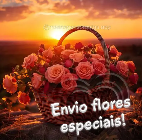 Envio flores especiais!