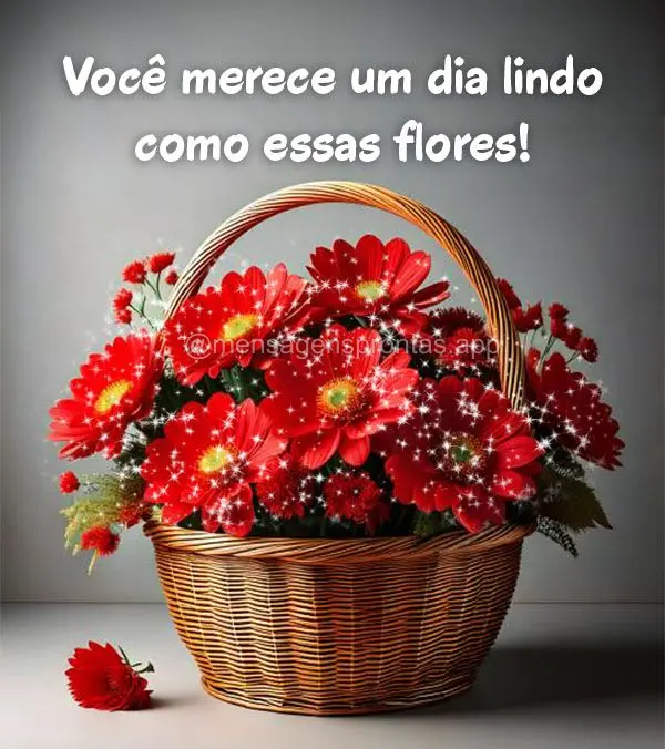 Você merece um dia lindo como essas flores!