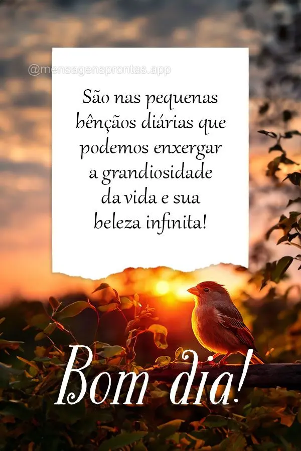 São nas pequenas bênçãos diárias que podemos enxergar a grandiosidade da vida e sua beleza infinita!  Bom dia!