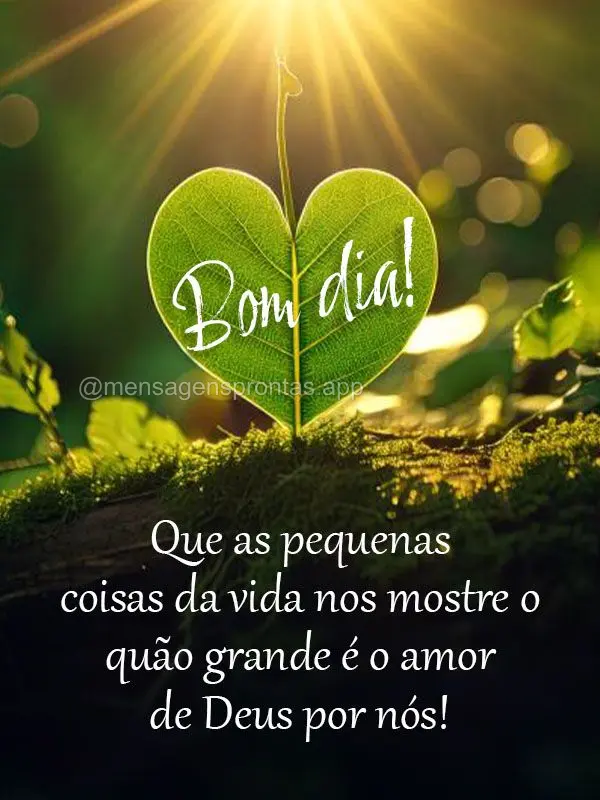 Que as pequenas coisas da vida nos mostre o quão grande é o amor de Deus por nós!  Bom dia!