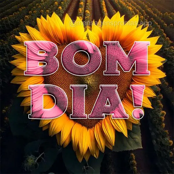 Bom dia!