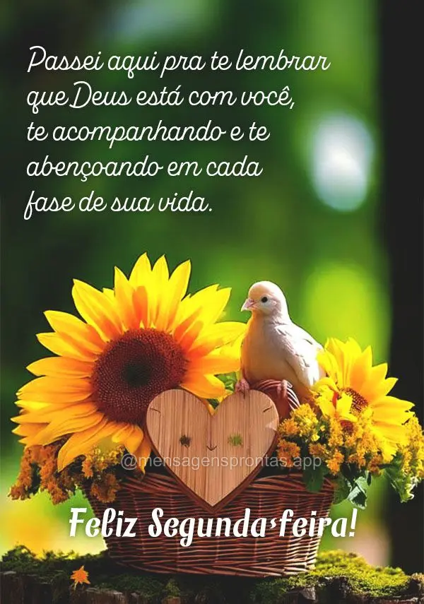 Passei aqui pra te lembrar que Deus está com você, te acompanhando e te abençoando em cada fase de sua vida. Feliz Segunda-feira!