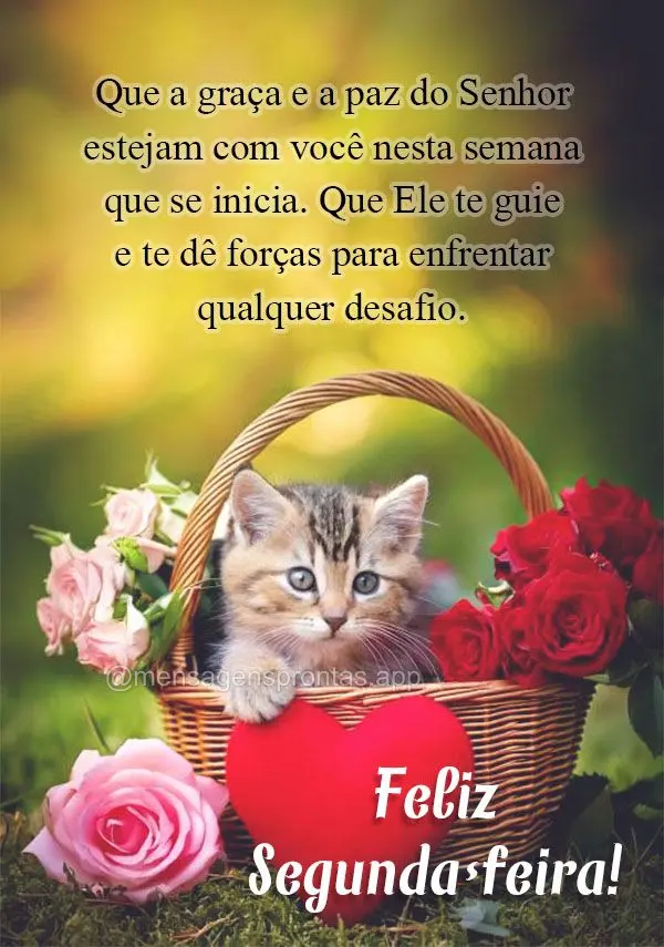 Que a graça e a paz do Senhor estejam com você nesta semana que se inicia. Que Ele te guie e te dê forças para enfrentar qualquer desafio. Feliz Segu...