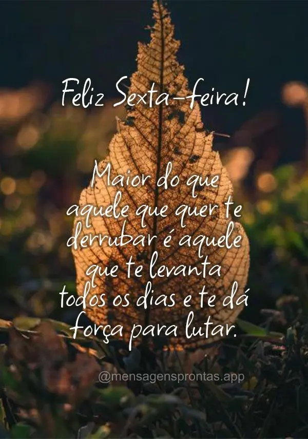 Maior do que aquele que quer te derrubar é aquele que te levanta todos os dias e te dá força para lutar.  Feliz Sexta-feira!