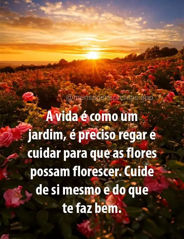 A vida é como um jardim, é preciso regar e cuidar para que as flores possam florescer. Cuide de si mesmo e do que te faz bem.