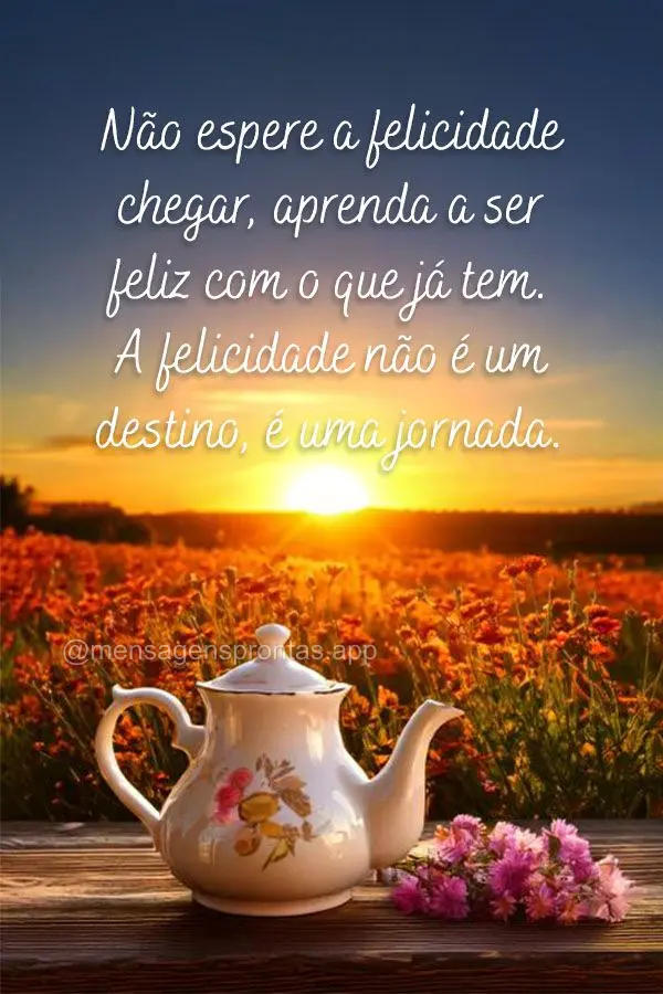 Não espere a felicidade chegar, aprenda a ser feliz com o que já tem. A felicidade não é um destino, é uma jornada.