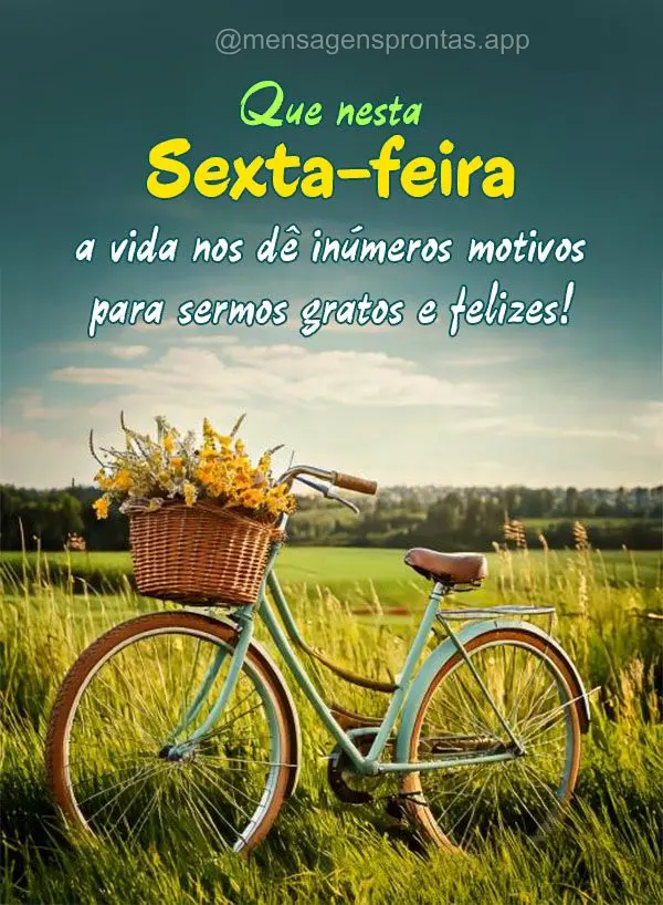 Que nesta Sexta-feira a vida nos dê inúmeros motivos para sermos gratos e felizes! 