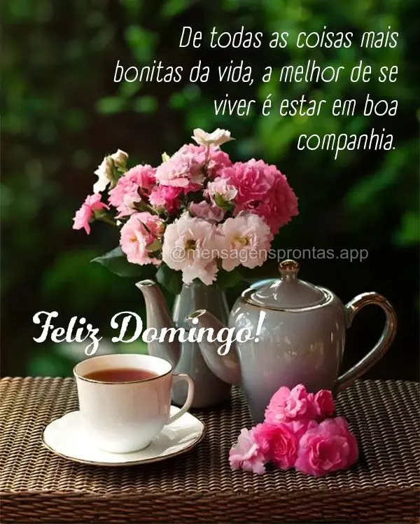 De todas as coisas mais bonitas da vida, a melhor de se viver é estar em boa companhia.  Feliz Domingo!