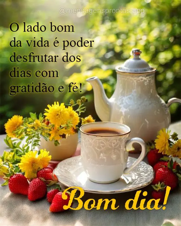 O lado bom da vida é poder desfrutar dos dias com gratidão e fé! Bom dia!