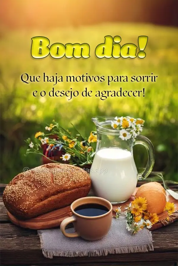 Que haja motivos para sorrir e o desejo de agradecer! Bom dia!