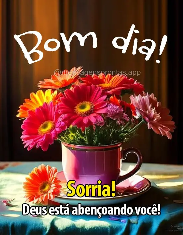 Sorria! Deus está abençoando você! Bom dia!