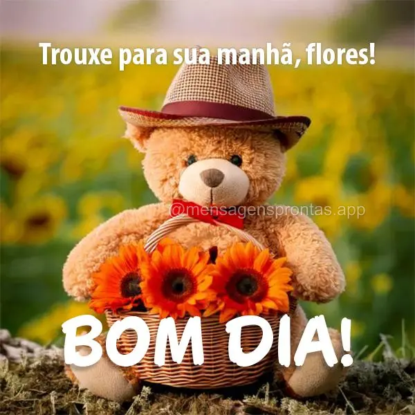 Trouxe para sua manhã, flores! Bom dia!