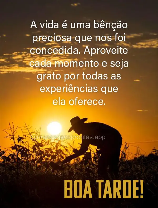 A vida é uma bênção preciosa que nos foi concedida. Aproveite cada momento e seja grato por todas as experiências que ela oferece. Boa tarde!