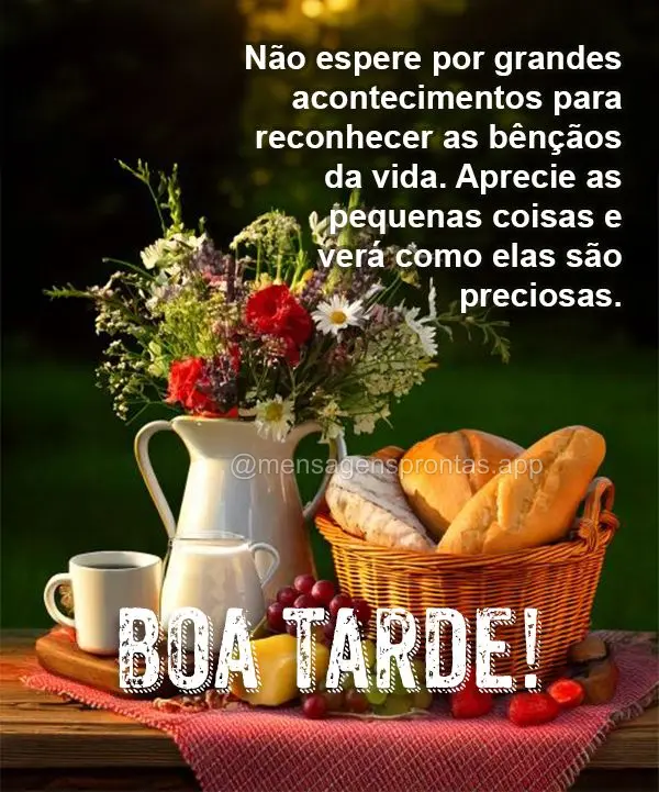 Não espere por grandes acontecimentos para reconhecer as bênçãos da vida. Aprecie as pequenas coisas e verá como elas são preciosas. Boa tarde!