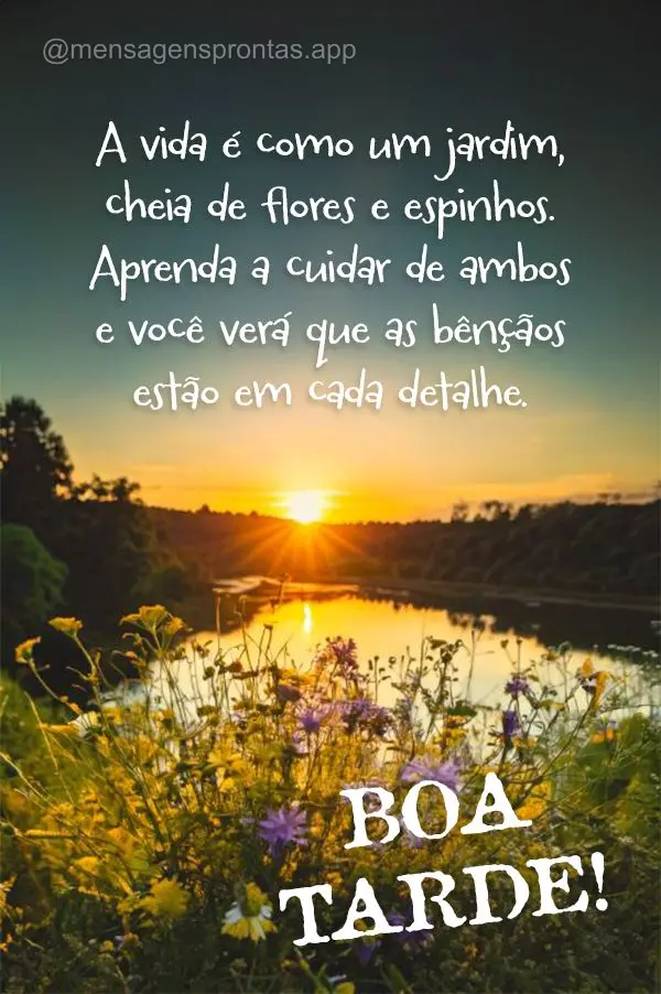 A vida é como um jardim, cheia de flores e espinhos. Aprenda a cuidar de ambos e você verá que as bênçãos estão em cada detalhe. Boa tarde!