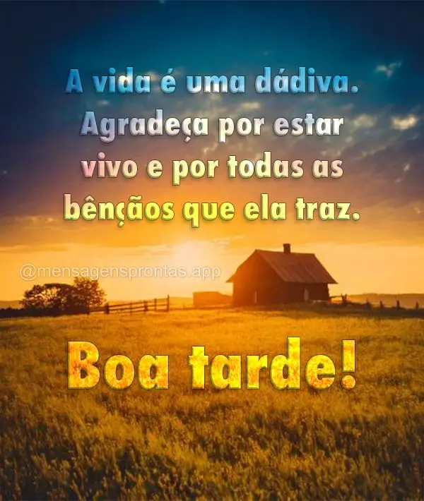 A vida é uma dádiva. Agradeça por estar vivo e por todas as bênçãos que ela traz. Boa tarde!